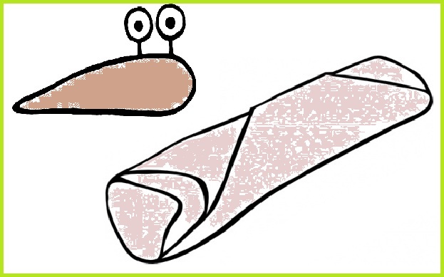 Burrito blind typing spry  clipart