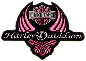 Harley davidson on harley davidson logo logos and eagles clip art