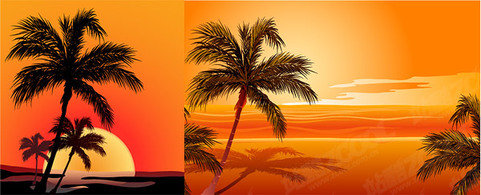 Coconut beach sunset shadow vector coconut vector files clipart