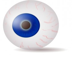 Eyeball clip art free vector for free download about 8 free