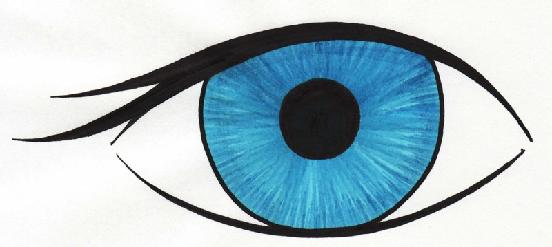 Eyeball eye picture cartoon clipart