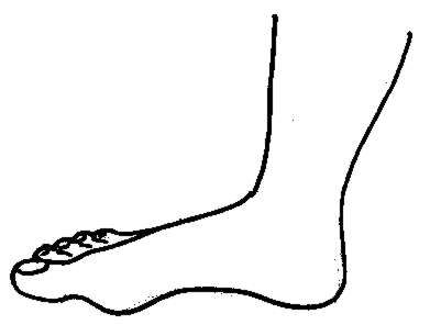 Foot ankle clip art