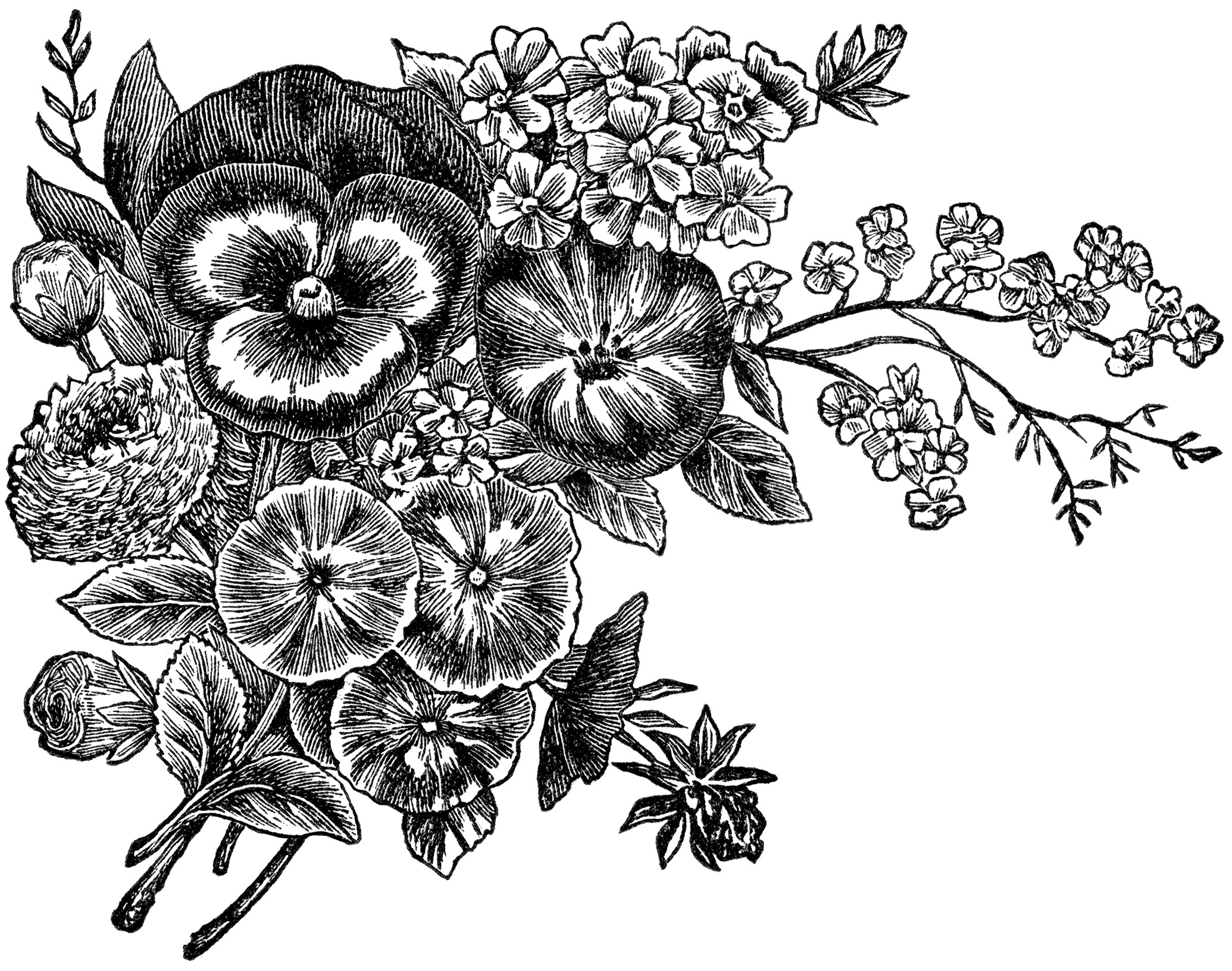 Black and white floral design clipart dromhje top 2