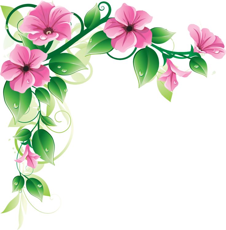 Free butterfly borders clip art floral butterfly border