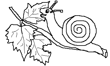 Free snail cliparts 2