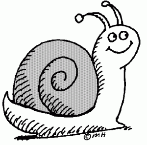 Snail clip art black and white free clipart images