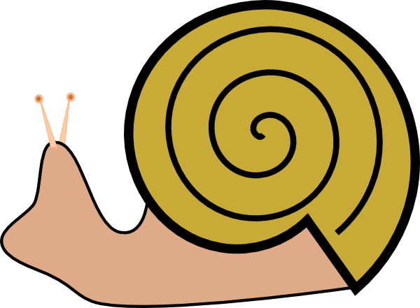 Snail clipart free