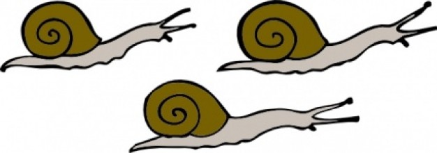 Snails clip art previous next free clipart images