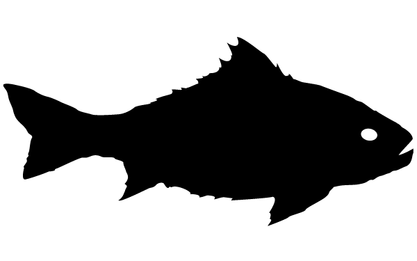 Fish silhouette clip art image