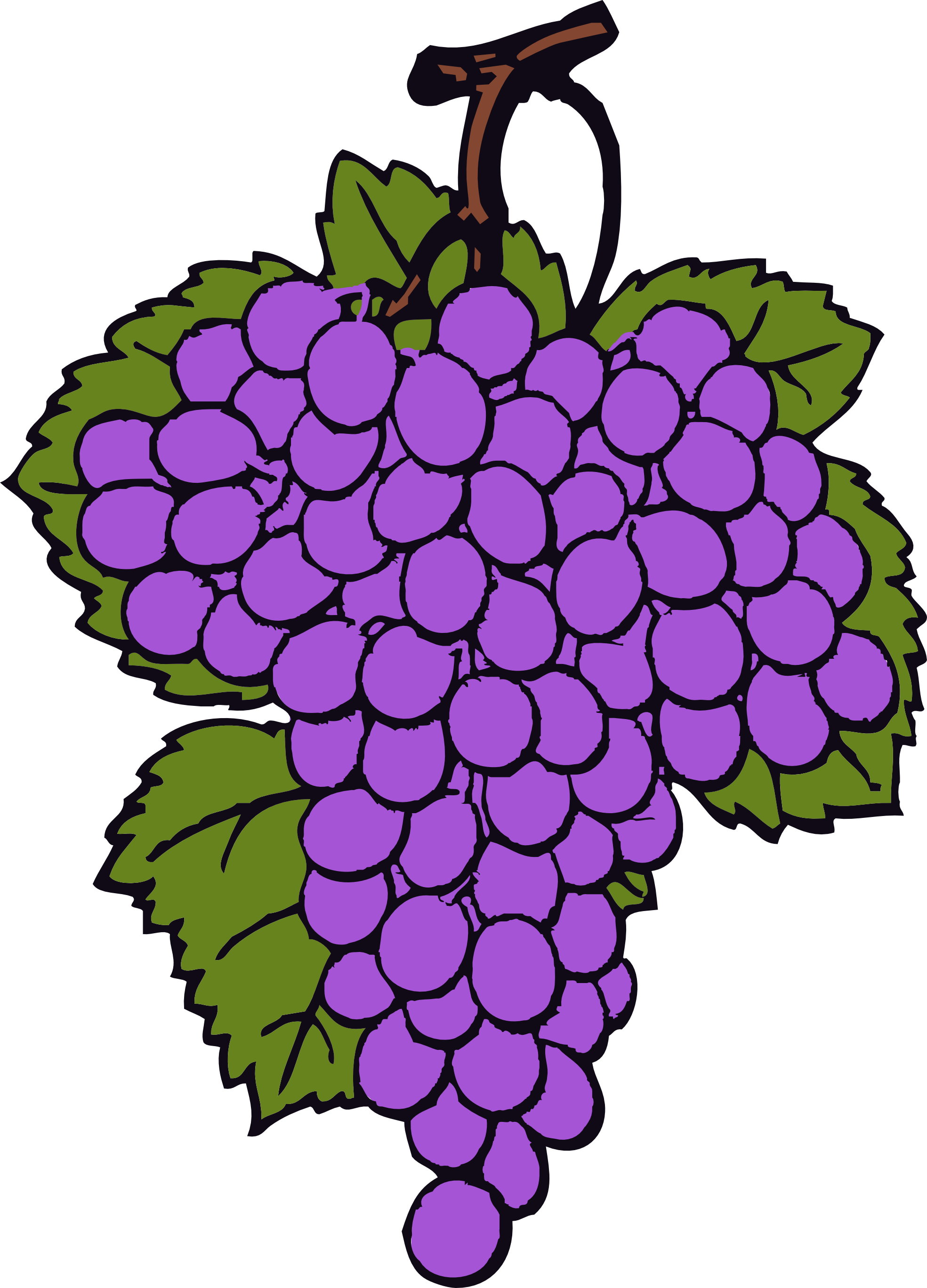 For grapes clip art