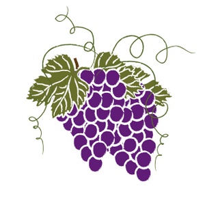 Grape cluster clipart image two red grape clusters