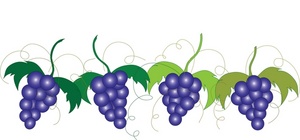 Grape free clip art