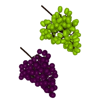 Grape grappe raisin clip art doctype html public w3c dtd html