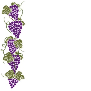 Grape vine wine clip art