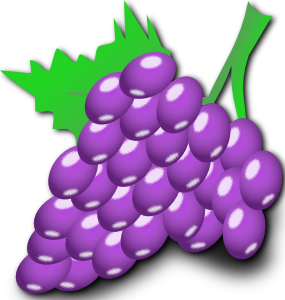 Grapes clip art at vector clip art