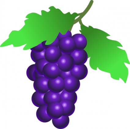 Grapes clipart black and white free clipart images