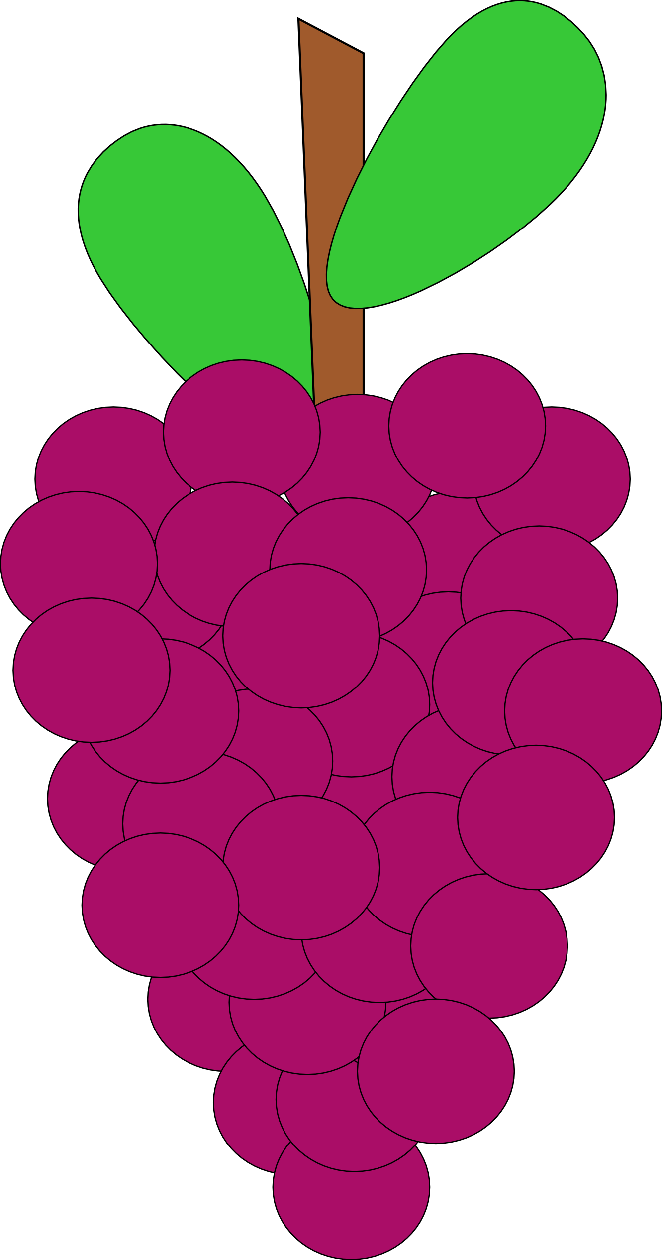 Grapes clipart