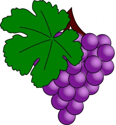 Grapes vine clipart free clipart images 4