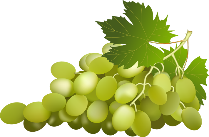 Grapes vine clipart grape with vine leaf clip art id