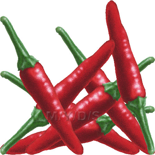 Chili pepper clipart free clip art