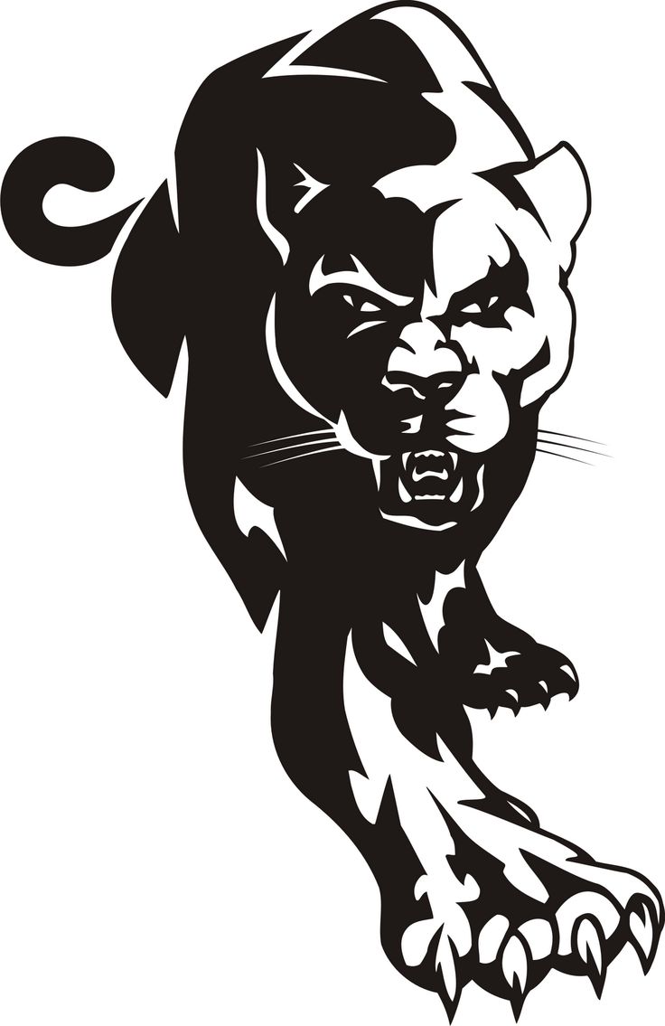 Cougar black panther mascot clipart dromggo top