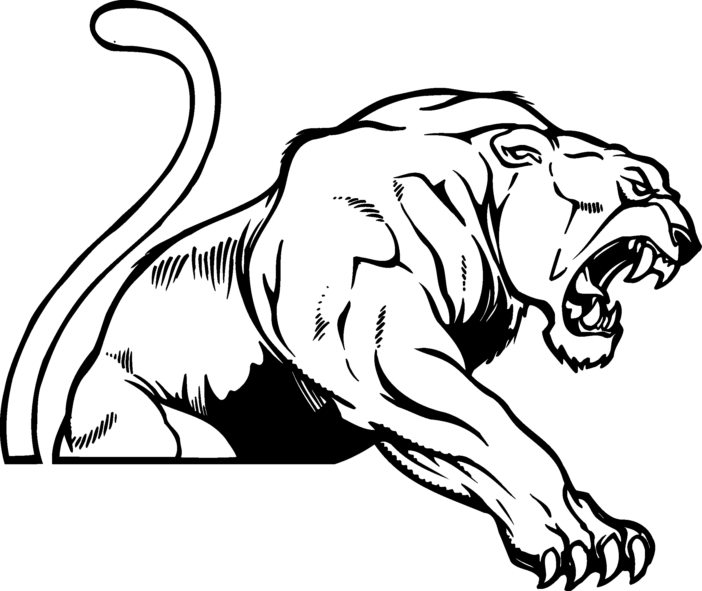 Cougar mascot clipart free clipart images