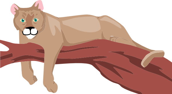 Free cougar clipart 2