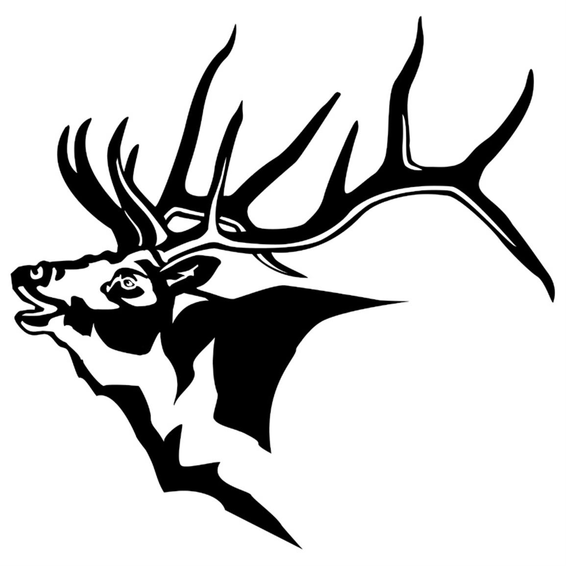 Elk coloring page cmseal clipart