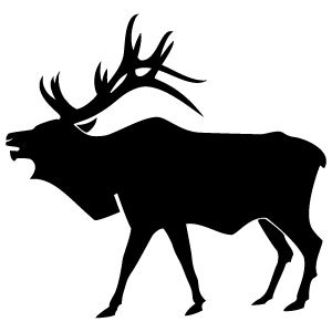 Vector of elk clipart