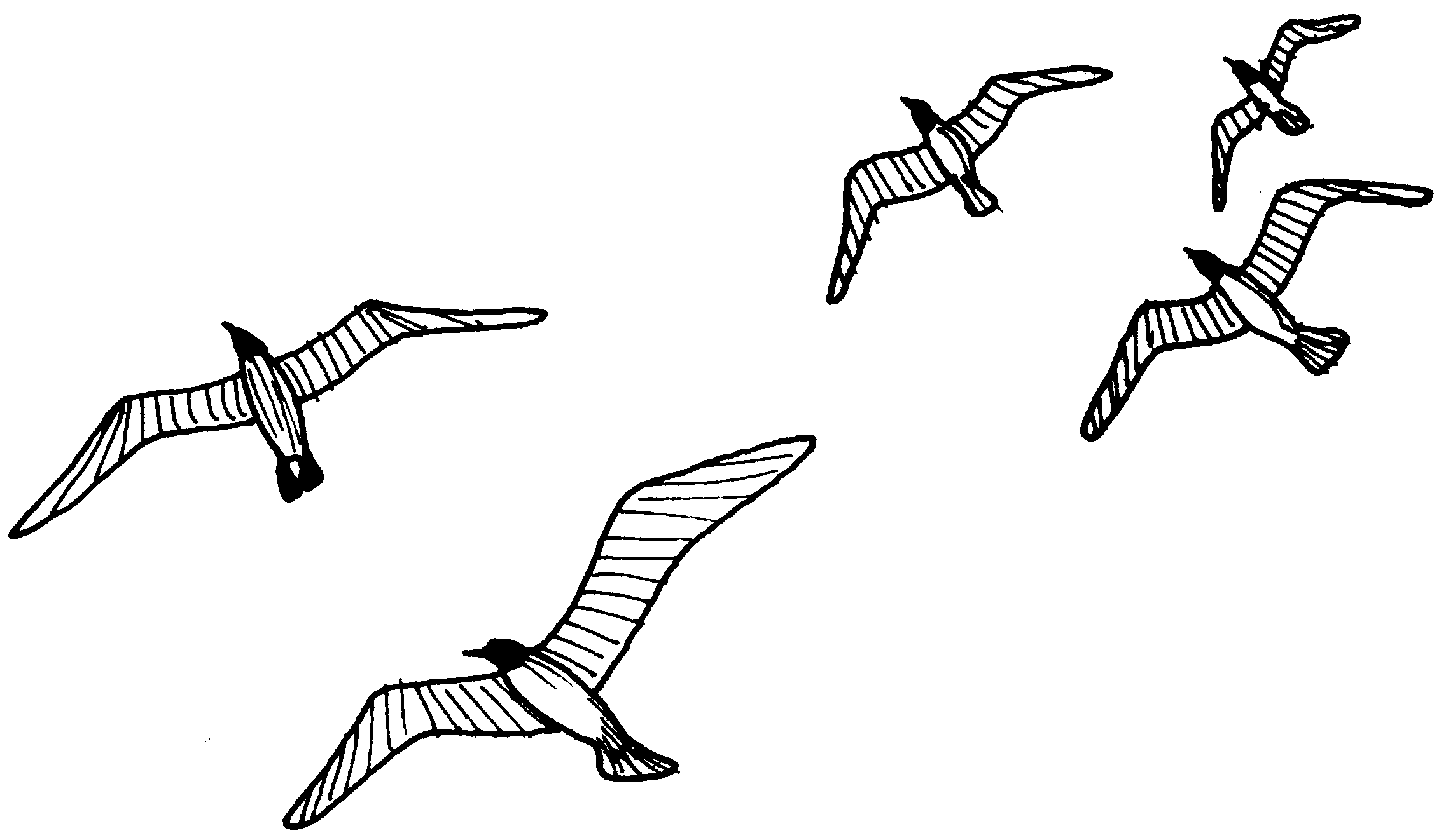 Animated clip art of seagulls on dayasrioge top 2