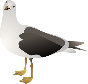 Animated clip art of seagulls on dayasrioge top