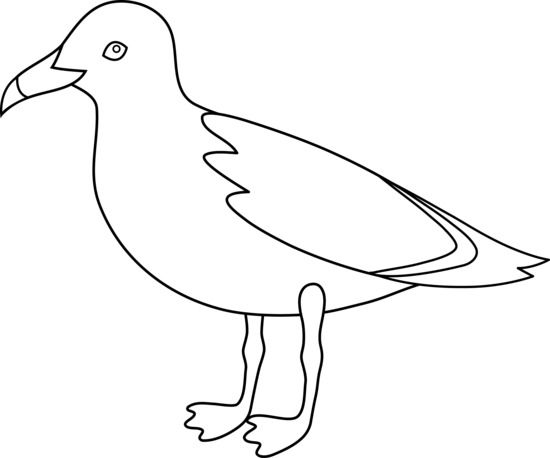 Black and white seagull clipart