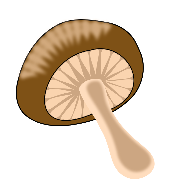 Brown mushroom clip art on clipart cliparts for you