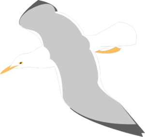 Flying seagulls clipart