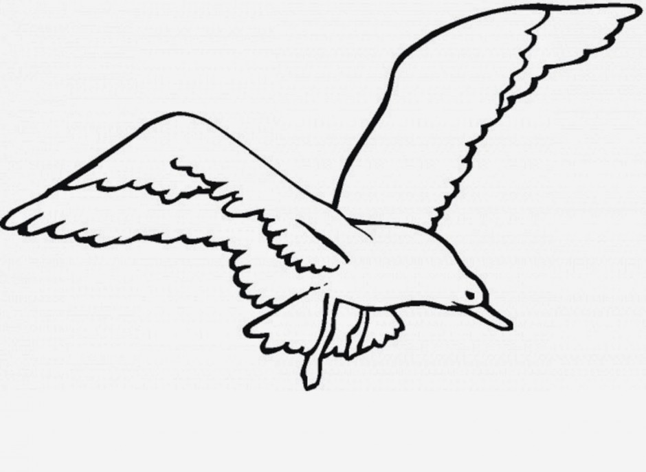 Free flying seagull coloring pages clipart