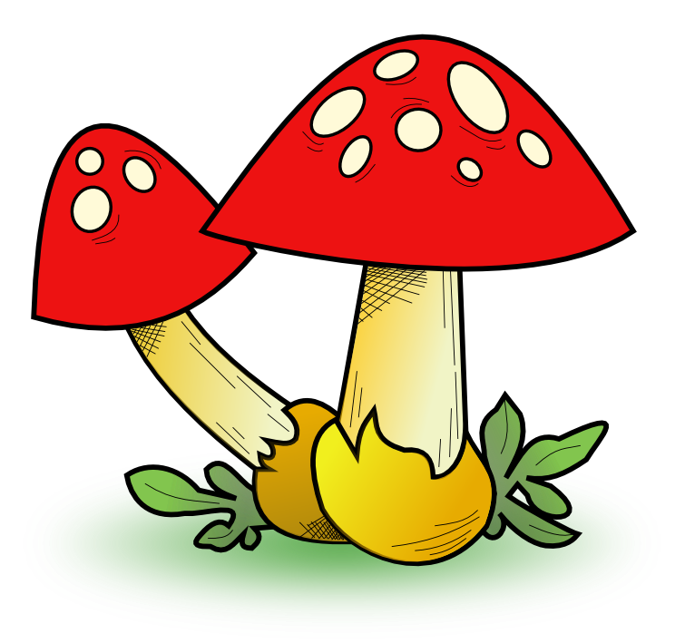 Mushroom free to use  clipart