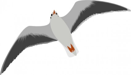 Sea gull seagull clip art free vector in open office drawing svg