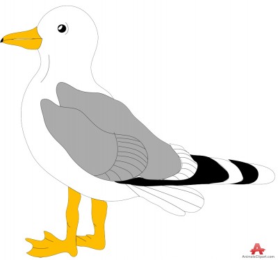 seagull outline clipart images