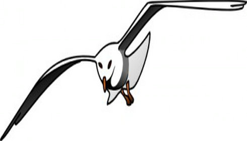 Seagull clip art 2 free vector download graphics material