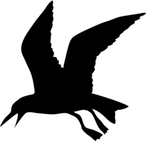 Seagull clipart black and white free clipart images 2