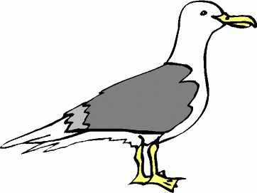 Seagull clipart black and white free clipart images