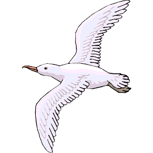 Seagull clipart cliparts of seagull free download wmf