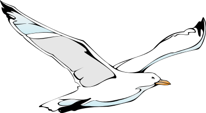 Seagull clipart free clipart images 2