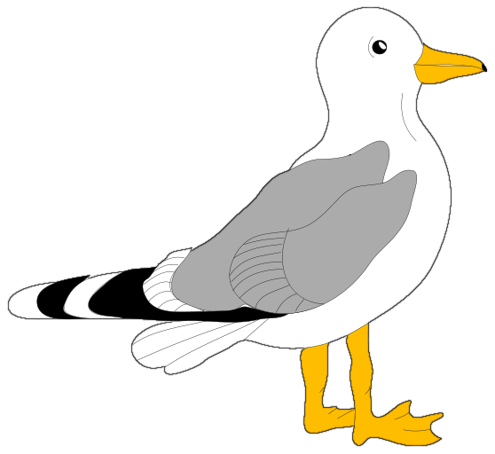Seagull clipart free clipart images