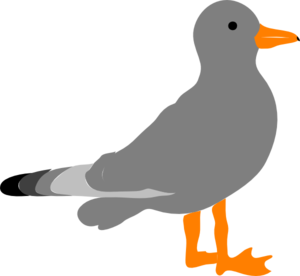 Seagull sea gull clip art at clker vector clip art