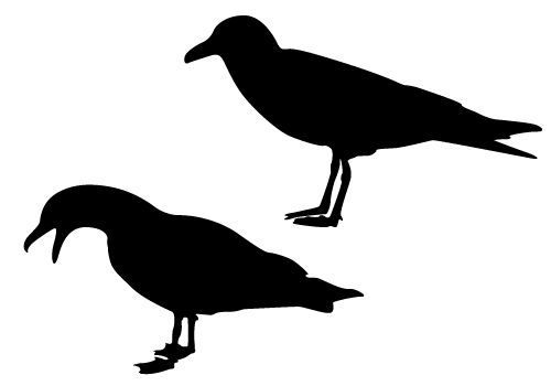 Seagull silhouette vector free download get files clip art