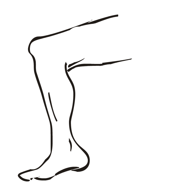 Leg clip art 2