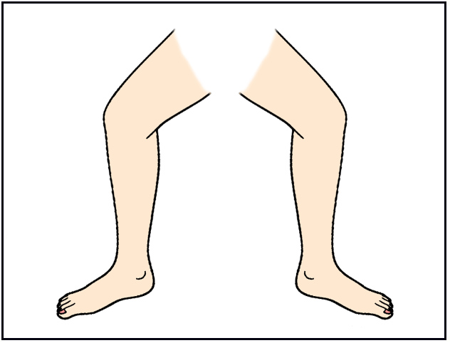 Leg parts of the body flashcards learningenglish esl clipart