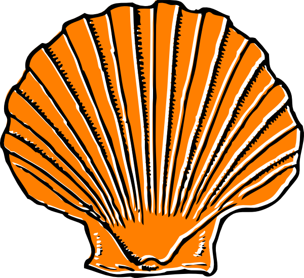 Orange seashell clip art at clker vector clip art