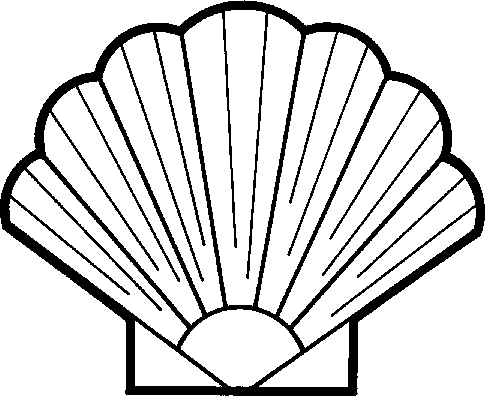 Seashell shell clipart